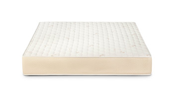 Nani Ergo Memory Box Plus