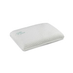 Nani Double Dream Pillow
