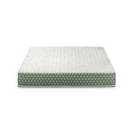 Nani Duo Comfort Box Plus